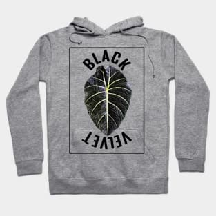 Alocasia Black Velvet Hoodie